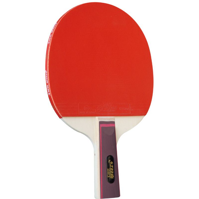 Ракетка для настільного тенісу DHS R5002С - Зображення 4