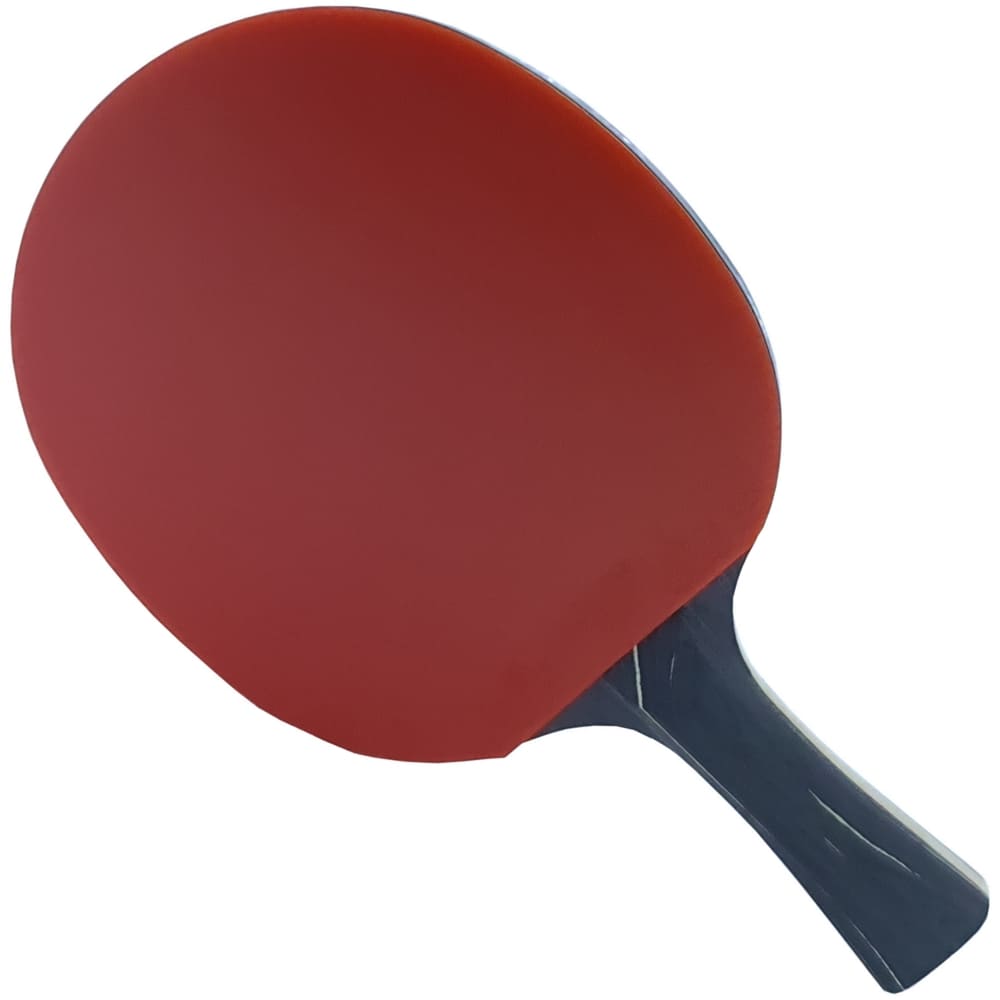 Ракетка для настільного тенісу DHS Star-Diamond Black D02 - Зображення 2