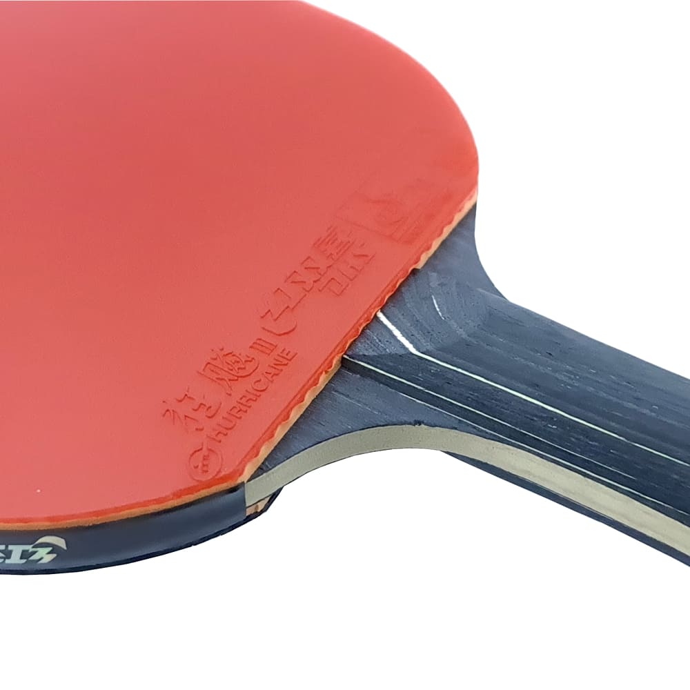 Ракетка для настільного тенісу DHS Star-Diamond Black D02 - Зображення 4