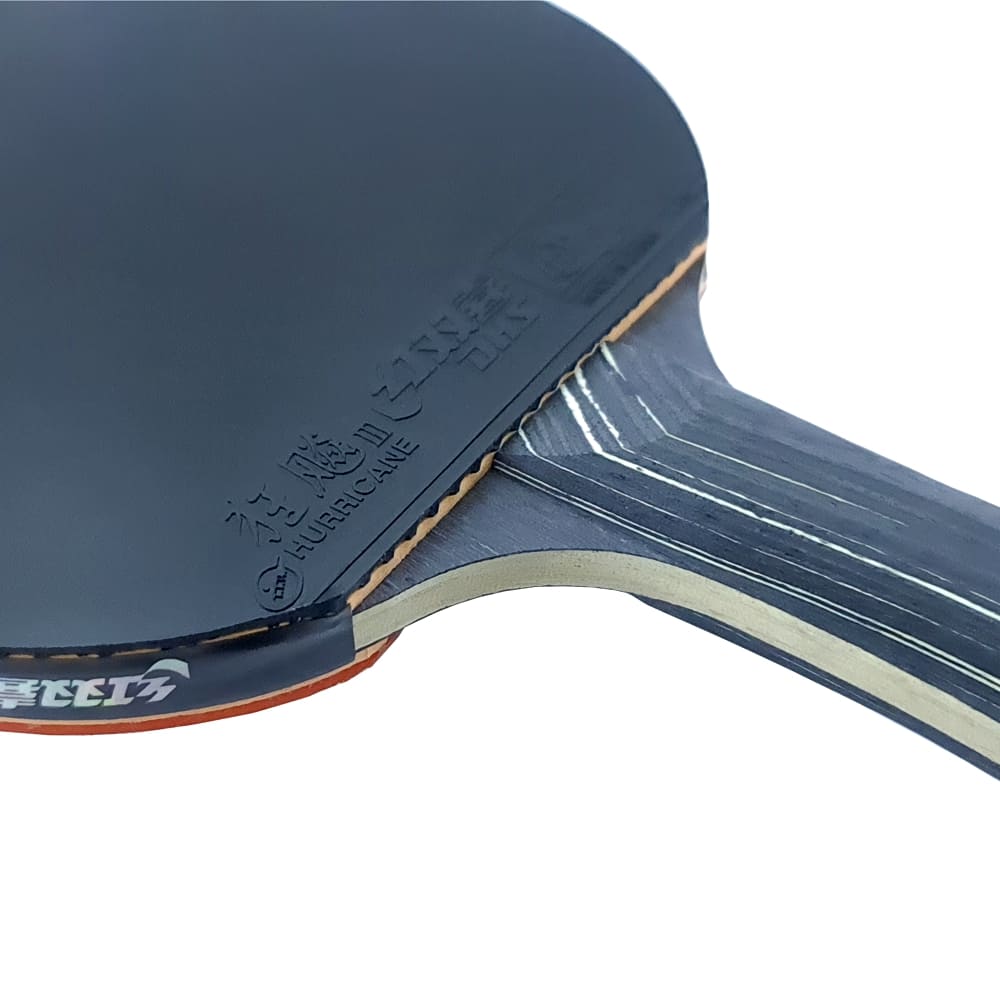 Ракетка для настільного тенісу DHS Star-Diamond Black D02 - Зображення 2