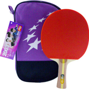 Ракетка для настільного тенісу DHS H2003
