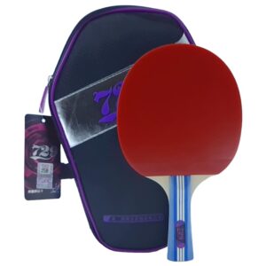 Ракетка для настільного тенісу 729 SP-7282